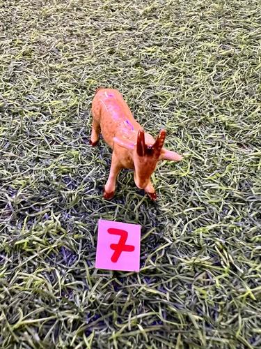 חיות פורצלן