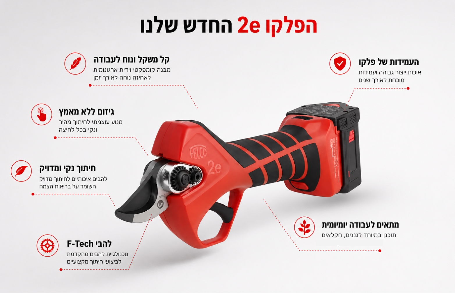 פלקו 2e החדש שלנו