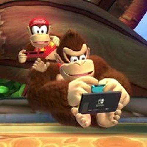 donkey kong country tropical freeze switch