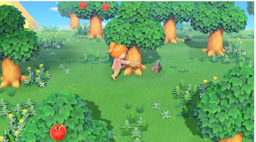 Animal Crossing New Horizons Nintendo Switch