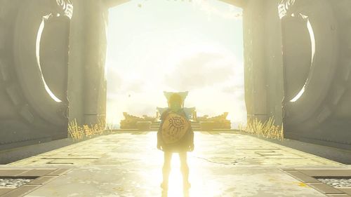 The Legend of Zelda: Tears of the Kingdom Nintendo Switch