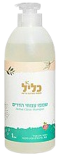 שמפו צמחי הדרים 1 ליטר | כליל