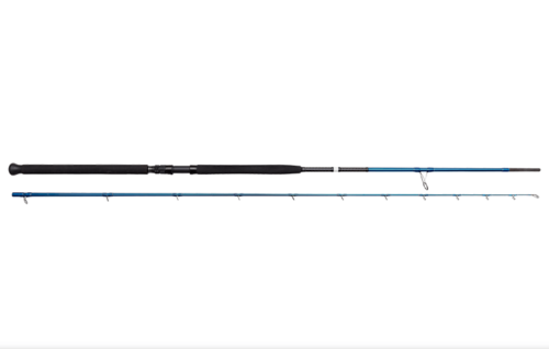 חכה לדיג ג'יריג'ור כבד  savage gear SGS2 SHORE JIGGING 30-100G