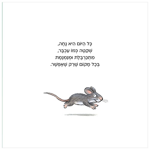 ספר פעילות לילדים - תולה חתלתולה / אקסל שפלר