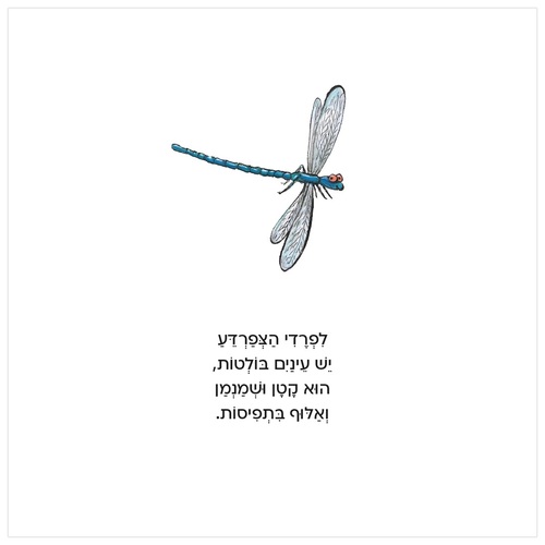 ספר פעילות לילדים - פרדי הצפרדע / אקסל שפלר