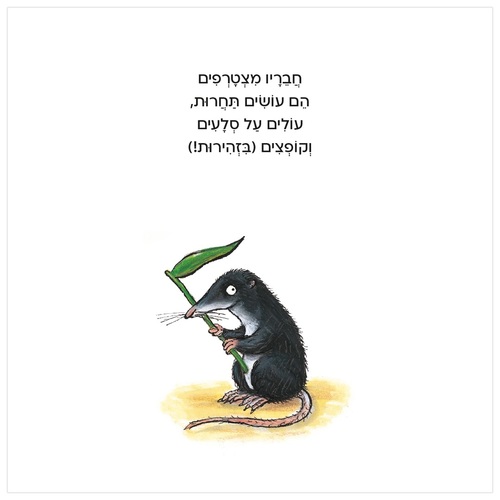 ספר פעילות לילדים - פרדי הצפרדע / אקסל שפלר