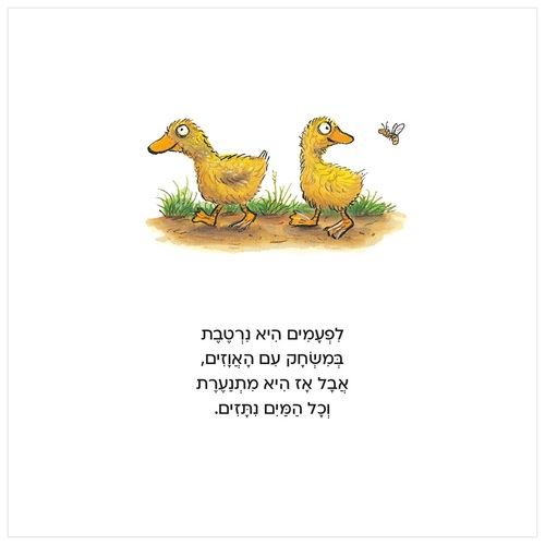 ספר פעילות לילדים - טלי הטליה / אקסל שפלר