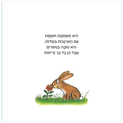 ספר פעילות לילדים - טלי הטליה / אקסל שפלר