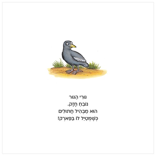 ספר פעילות לילדים - גורי הגור / אקסל שפלר