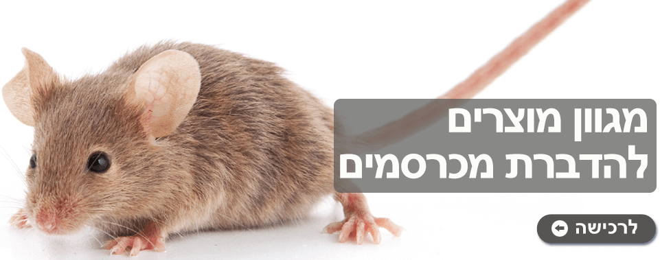 מוצרים להדברת מכרסמים