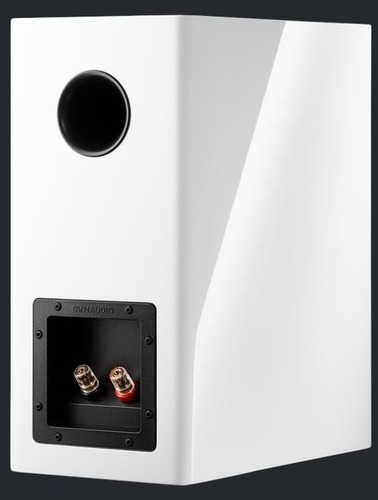DYNAUDIO EVOKE 20