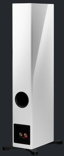 DYNAUDIO EVOKE 30