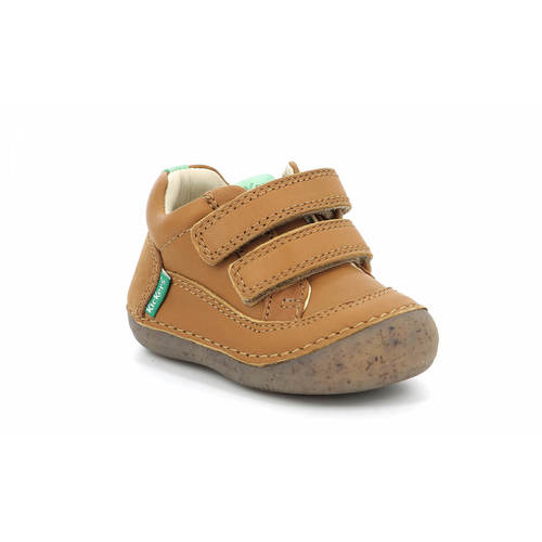 Sostankro Camel מידות 19-23