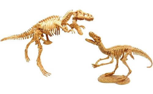 ערכת ארכיאולוגיה לחפירת שלדי דינוזאורים - Buki