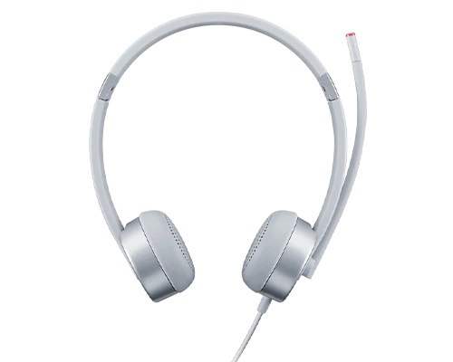 Lenovo 100 Stereo Analogue Headset – GXD1E71386