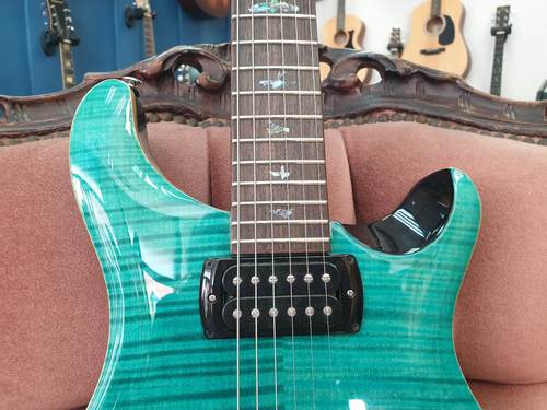 PRS SE Paul’s Guitar