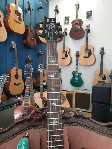 PRS SE Paul’s Guitar