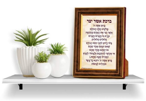 סוויצ אשר יצר מדף קטן