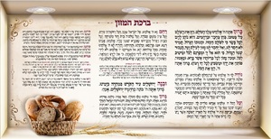 סוויצ NBR171 ברכת המזון 85/43