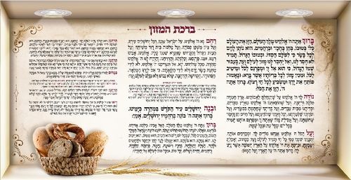 סוויצ NBR171 ברכת המזון 65/33