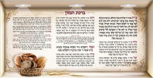 סוויצ NBR171 ברכת המזון 65/33