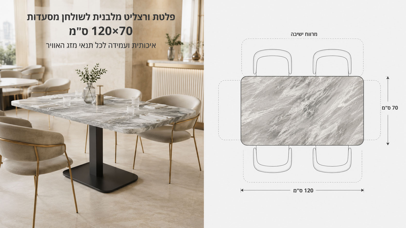 סרטוט פלטה