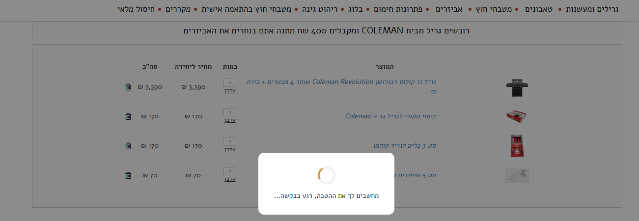 הגריל והאביזרים בסל הקניות