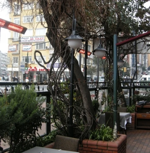 תנור חימום אינפרא אדום תעשייתי ללא בוהק אקווה דאבל AQUA BASIC DOUBLE 3000W LG 