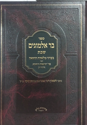 בר אלמוגים שבת