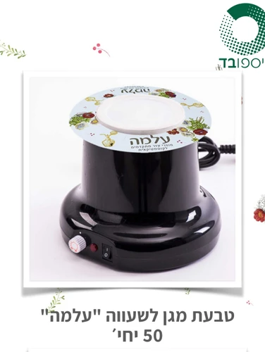 מגן טבעת 