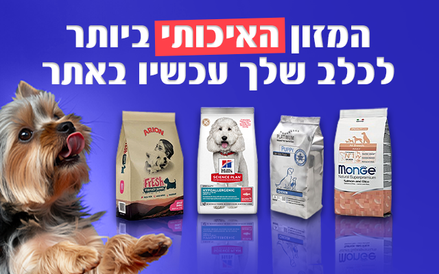 אודות דר פוד