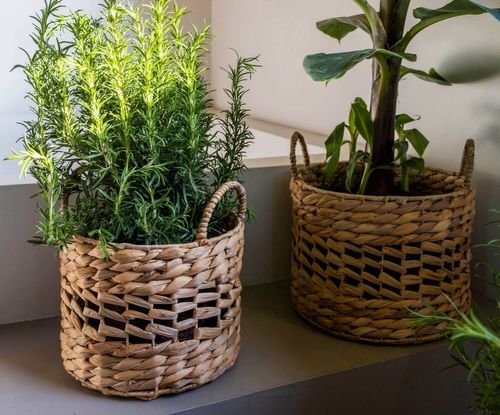  סל קש יקינטון בינוני  fiber basket