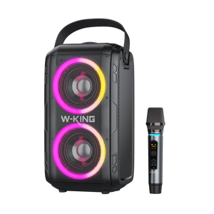 בידורית עוצמתית W-KING T9 80W
