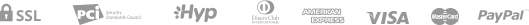 paypal_icon