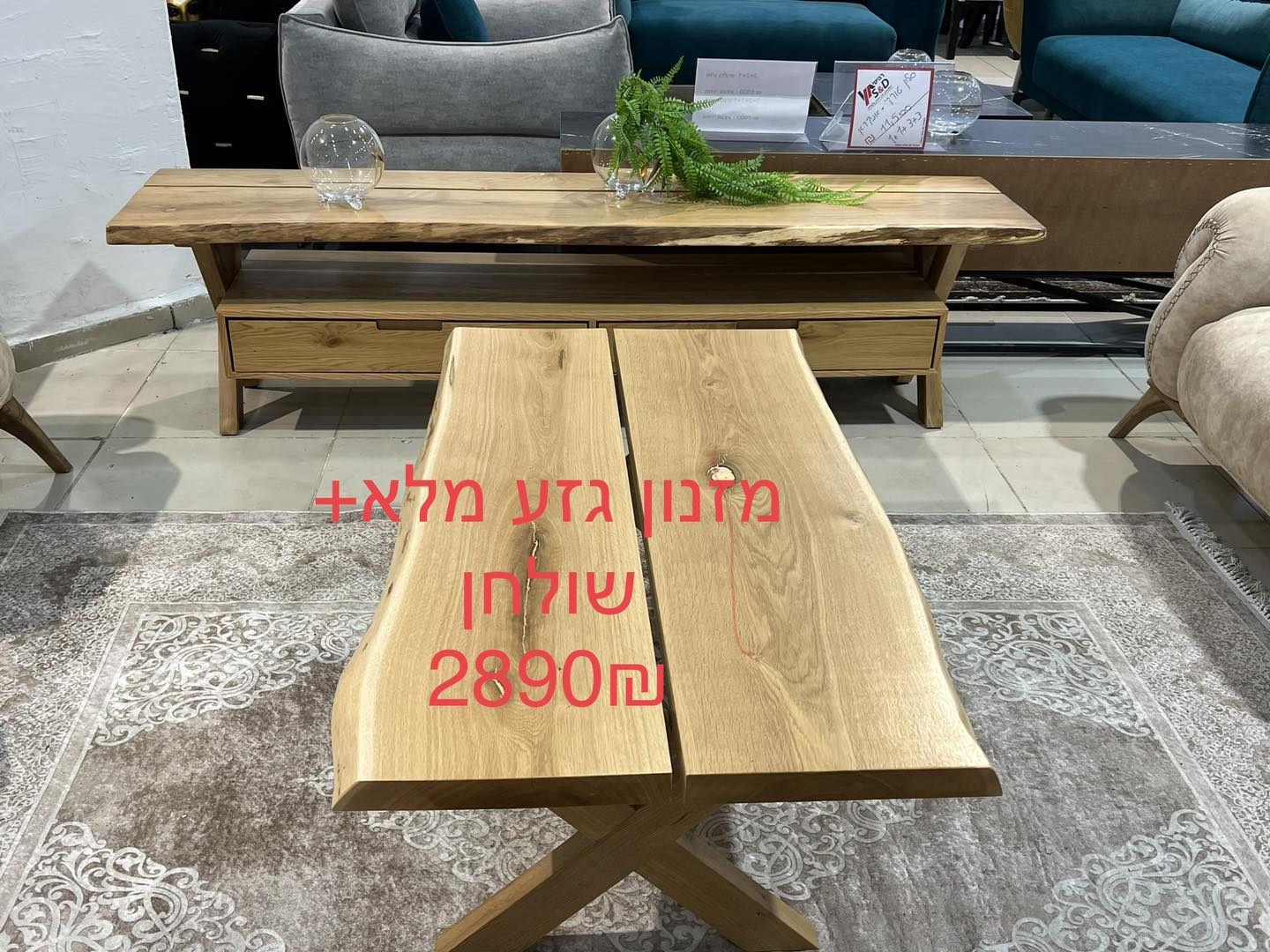מזנון אקס גזע 