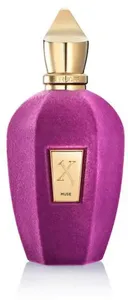 סריג