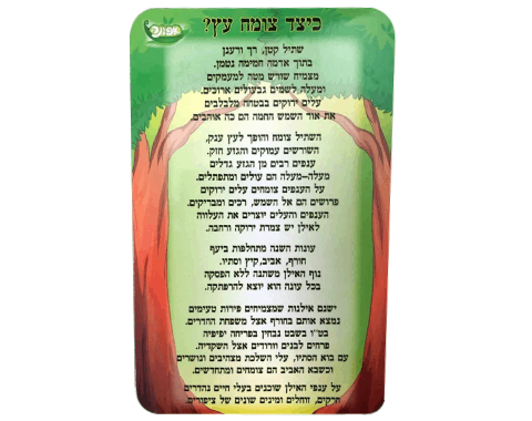 ערכת סיפור בהמחשה - עץ ענק