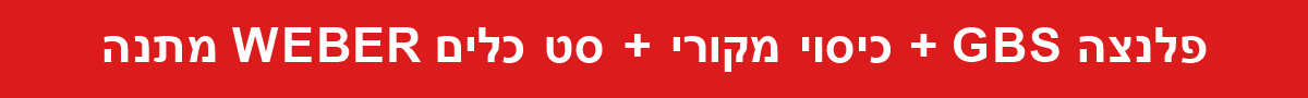 פלנצה GBS + כיסוי מקורי + סט כלים WEBER מתנה