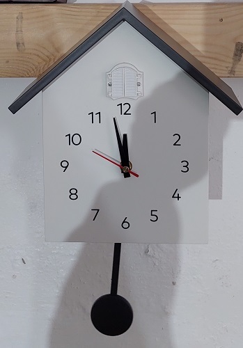 שעוני קוקייה בדרום הארץ