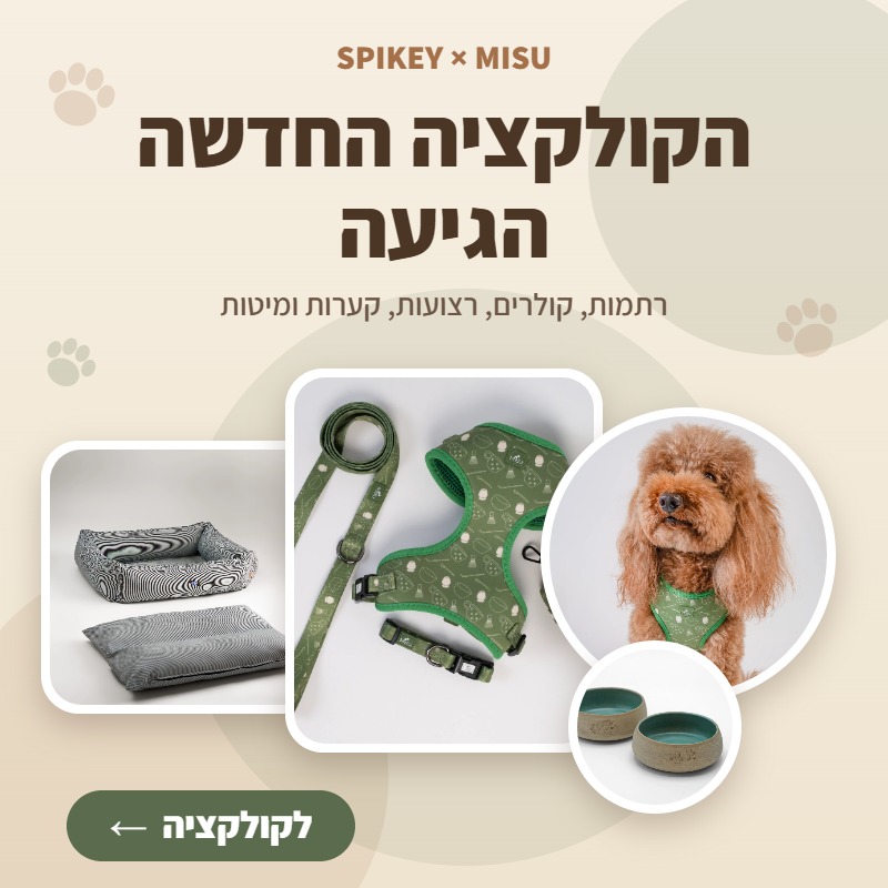 הקולקציה החדשה של MISU X SPIKEY - רתמות, קולרים, רצועות, קערות ומיטות