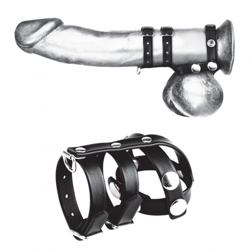 טבעת זקפה | Blue Line - Double Cock And Ball Strap With Leash Lead