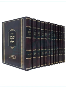 שו"ת שבט הלוי