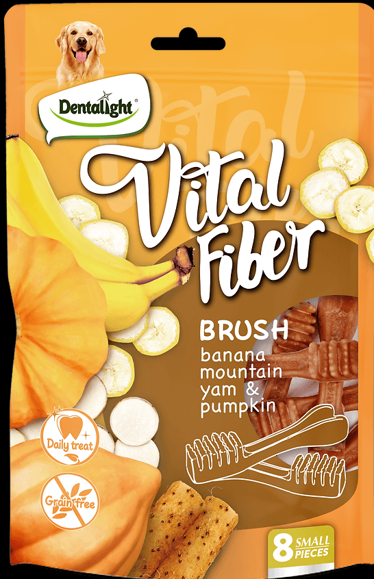 Dentalight - חטיף דנטלי מברשת שיניים ללא דגנים (80 גרם) בטעם דבש זרעי שומר ותפוז