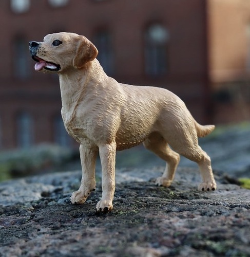 דמות מיניאטורה מגומי דחוס למשחקי דמיון - כלב לברדור