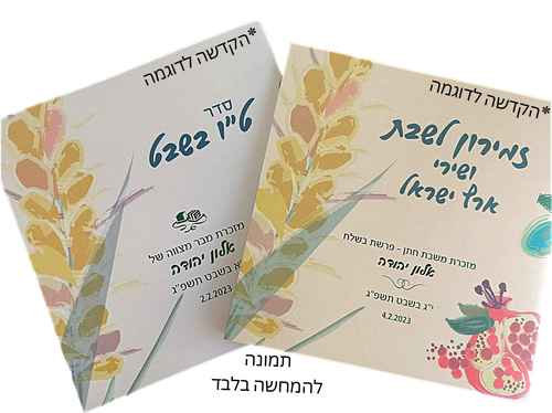סדר ט