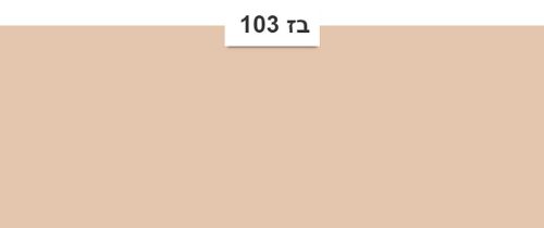בז103