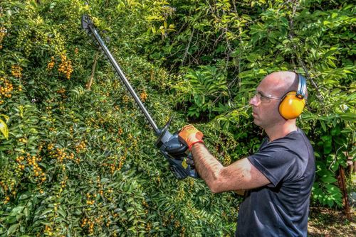 גוזם גדר חיה 18V | סוללה 1.5Ah | מטען Hunter 103000-004