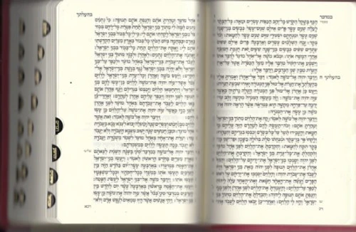 תנ