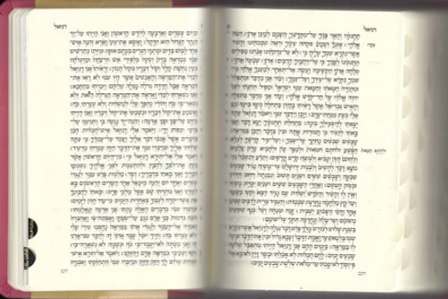 תנ