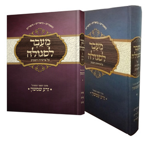 מעבר לסגולה על פרשיות השבוע - הרב אליהו עמר (2 כרכים)